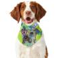 Preview: Hunde-Bandana Dio - Popart Hundedesign, 100 % Polyester, 70x30 cm, verstellbar, waschbar